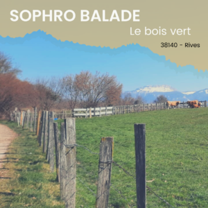 Sophrologie - Sophro balade Bois Vert